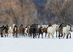 爱游戏中国官方网站-2077黑拳河谷区捡不了枪